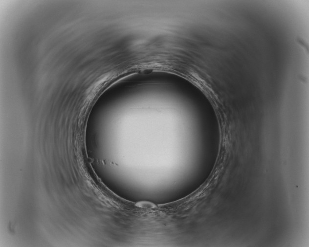 X0000103310193200809051552
