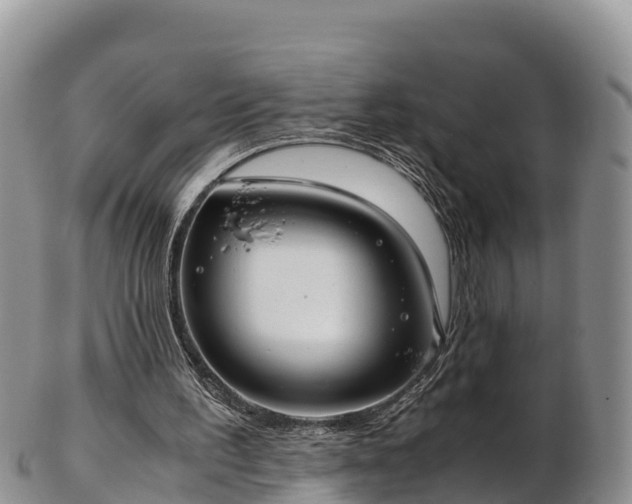 X0000103310195200809051552
