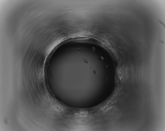 X0000103310196200809051552