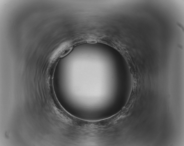 X0000103310197200809051552
