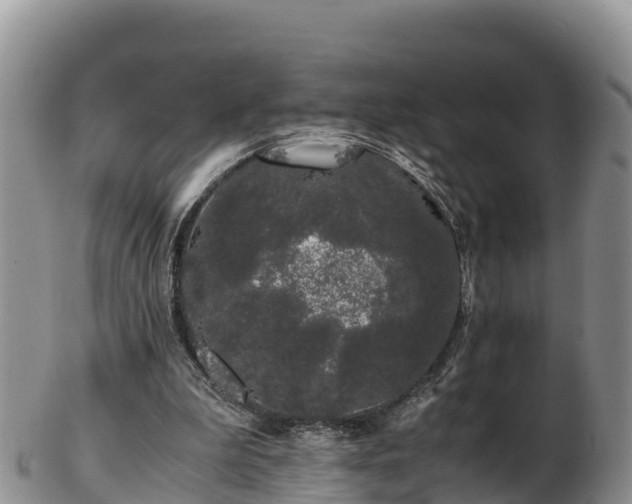 X0000103310199200809051552