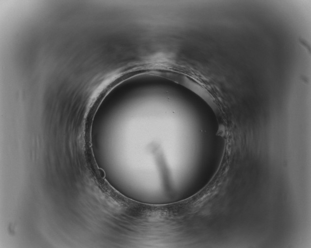 X0000103310200200809051552