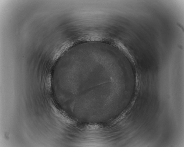 X0000103310202200809051552