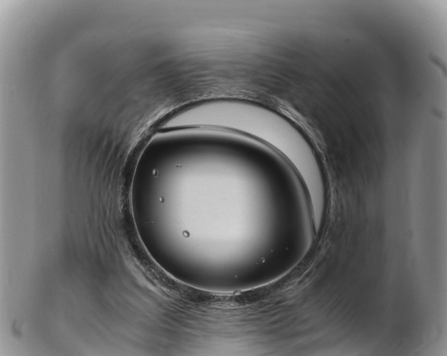 X0000103310203200809051552