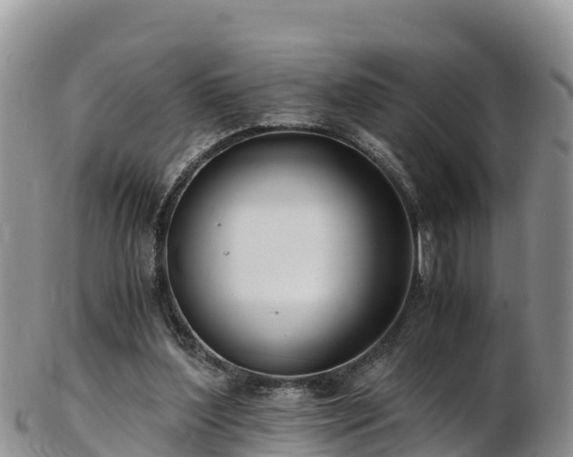 X0000103310204200809051552