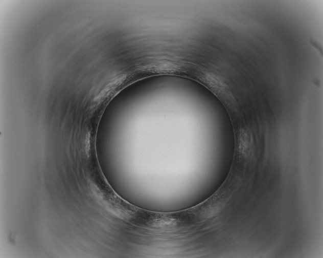 X0000103310206200809051552