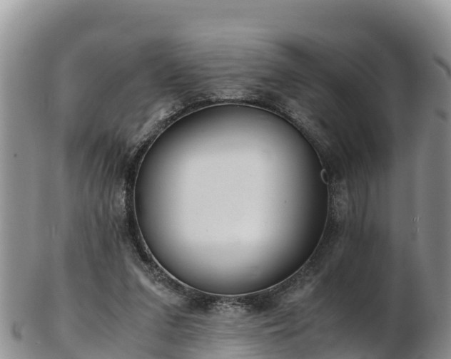 X0000103310207200809051552