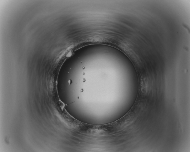 X0000103310208200809051552