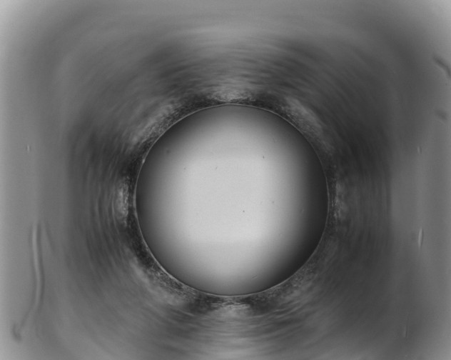 X0000103310210200809051552