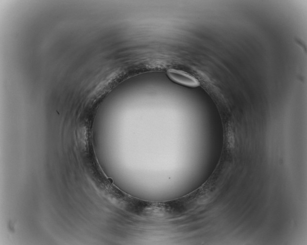 X0000103310211200809051552