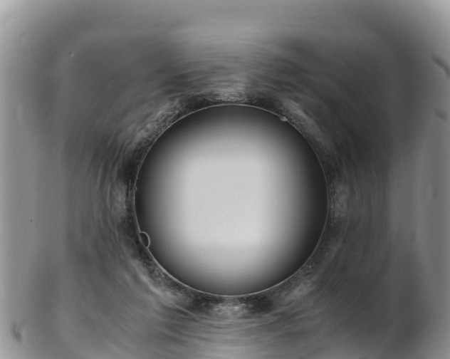 X0000103310213200809051552