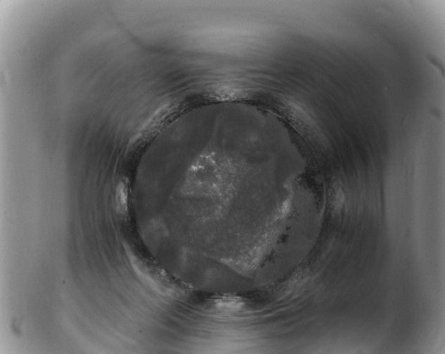 X0000103310214200809051552