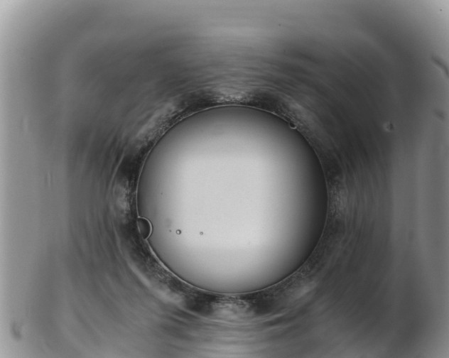 X0000103310215200809051552