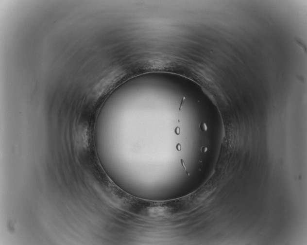 X0000103310216200809051552