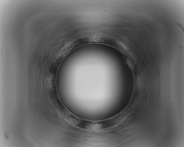X0000103310217200809051552