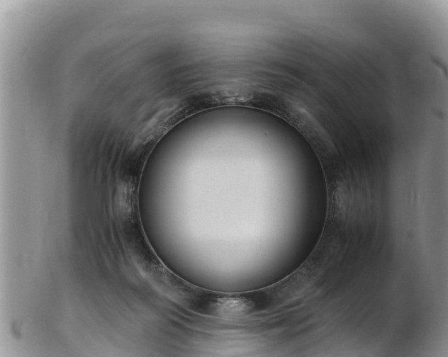 X0000103310218200809051552