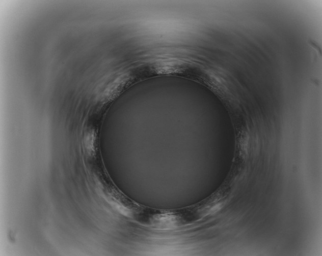 X0000103310219200809051552