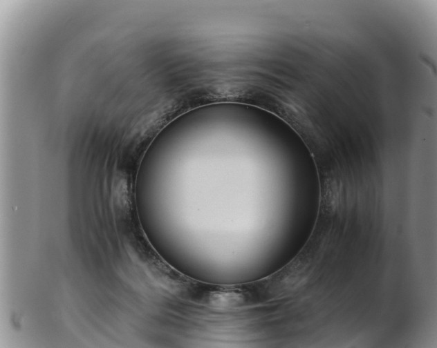 X0000103310220200809051552
