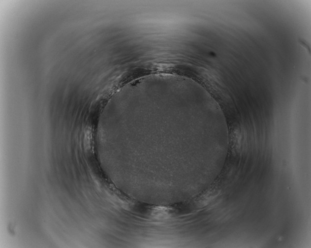 X0000103310222200809051552
