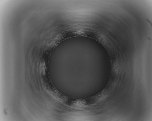 X0000103310223200809051552