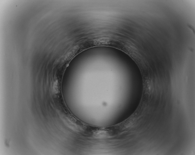 X0000103310224200809051552