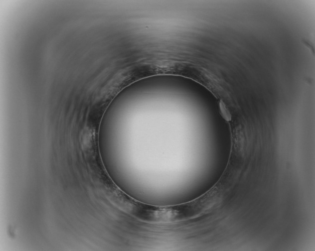 X0000103310225200809051552