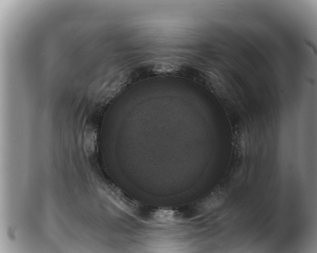 X0000103310227200809051552