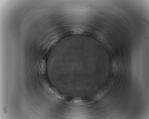 X0000103310228200809051552