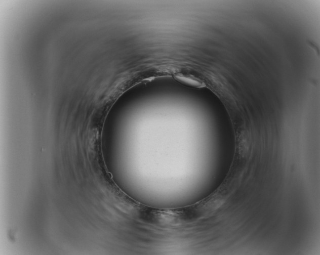 X0000103310229200809051552