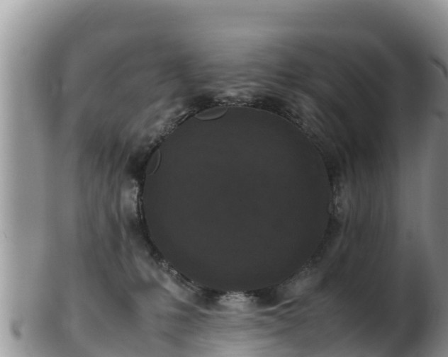 X0000103310231200809051552