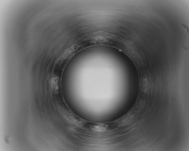 X0000103310232200809051552