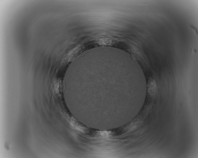 X0000103310233200809051552