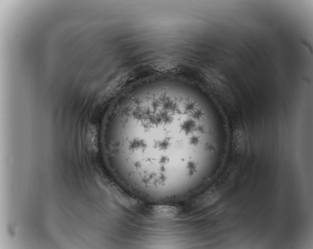 X0000103310234200809051552