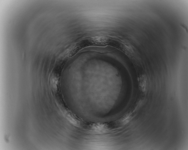 X0000103310235200809051552