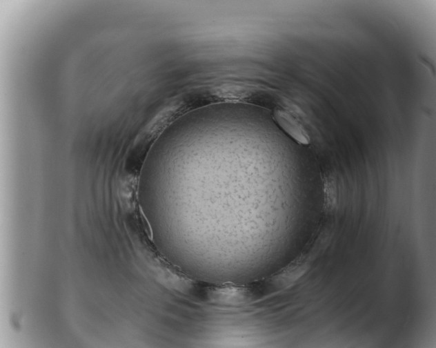 X0000103310237200809051552