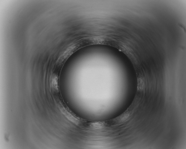 X0000103310238200809051551