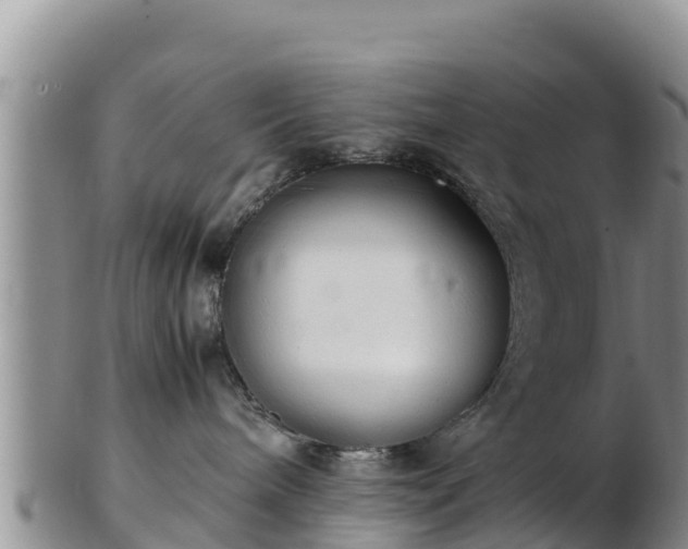 X0000103310240200809051551