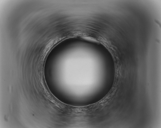 X0000103310241200809051551