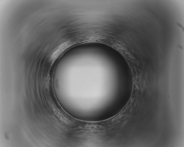 X0000103310242200809051551