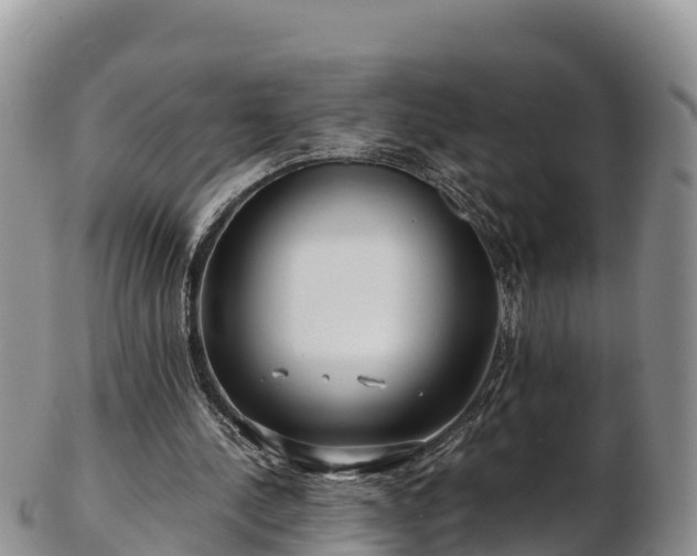 X0000103310244200809051551