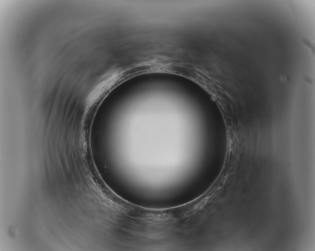 X0000103310245200809051551