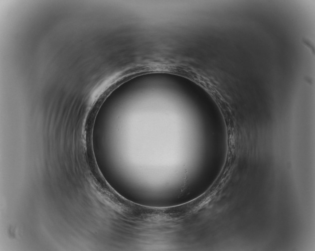 X0000103310246200809051551