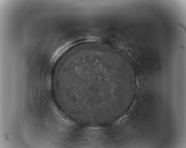 X0000103310247200809051551