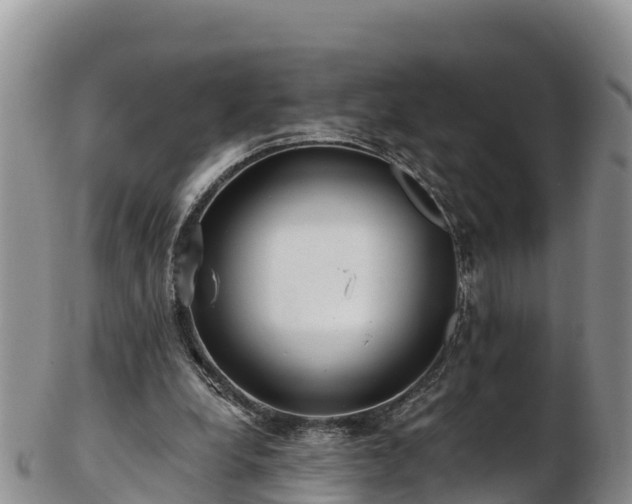 X0000103310248200809051551
