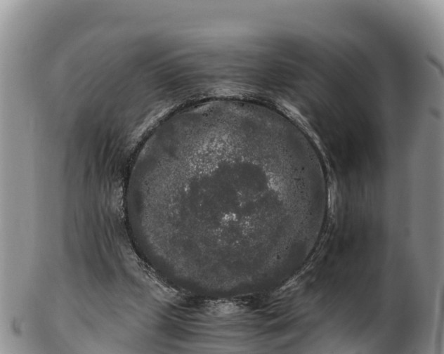 X0000103310249200809051551