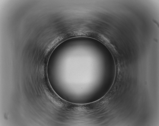 X0000103310250200809051551