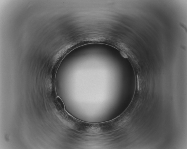 X0000103310252200809051551
