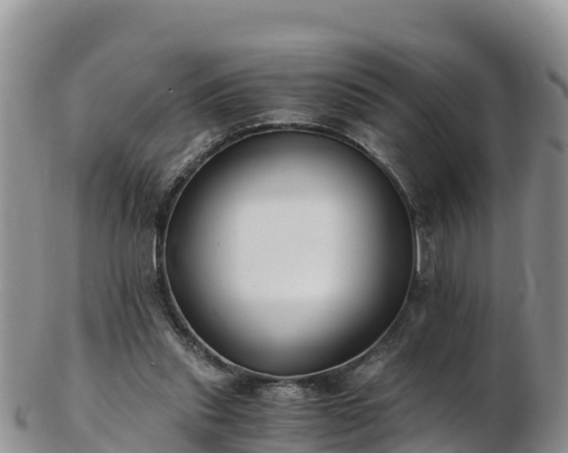 X0000103310253200809051551