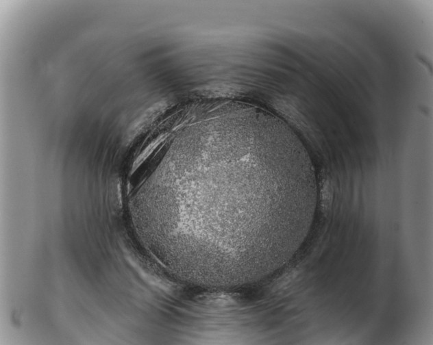 X0000103310254200809051551
