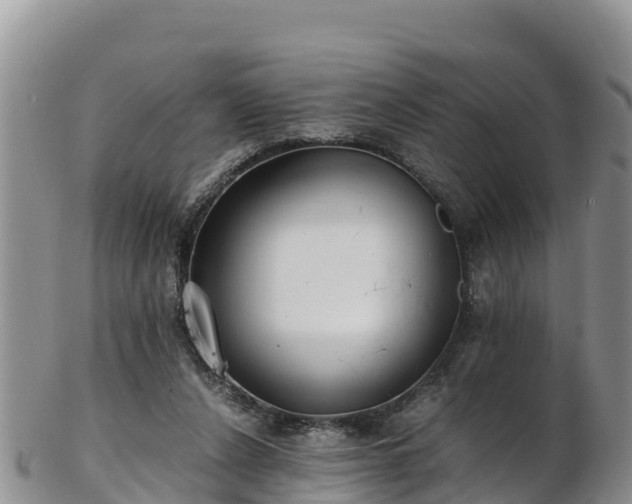 X0000103310256200809051551